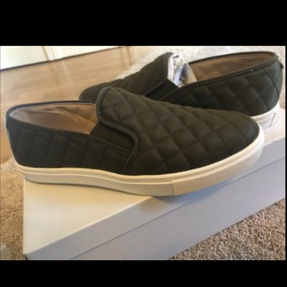 Steve Madden Sneakers